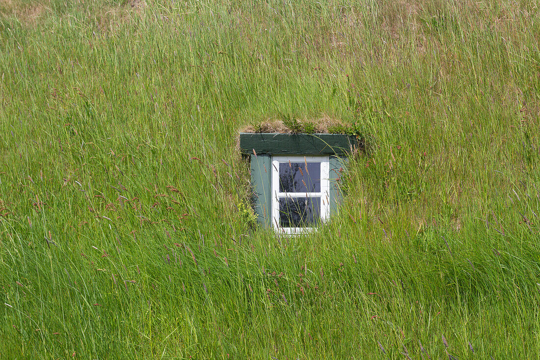 Detail of window of grass-covered roof of historic Hofskirkja church in Hof village, South Iceland, Iceland, Polar Regions