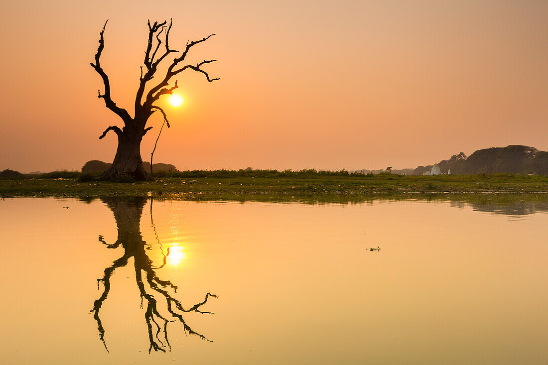 Baum, der sich im Taung Tha Man-See nahe der U-Bein-Brücke bei Sonnenuntergang spiegelt, Amarapura, Mandalay, Myanmar (Birma), Asien