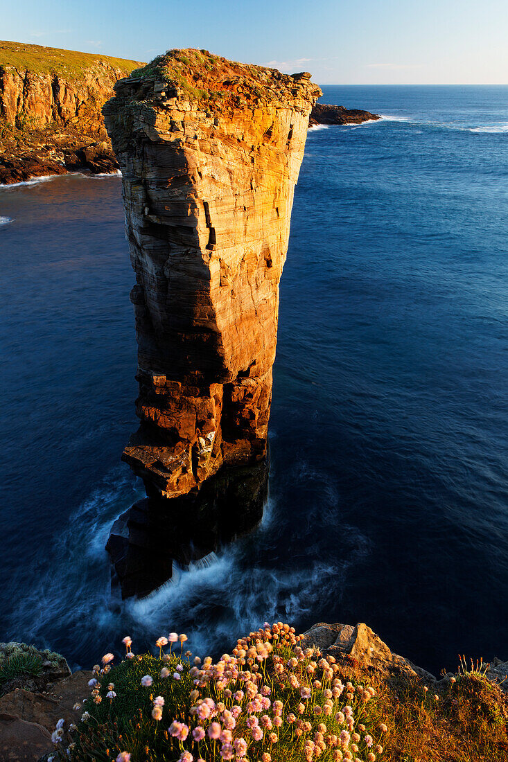 Yesnaby Sea Stack, West Mainland, Orkney-Inseln, Schottland, Vereinigtes Königreich, Europa