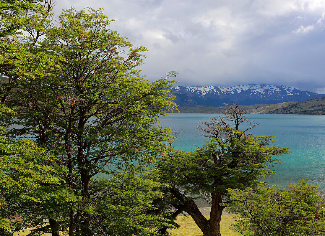 Torres del Paine National Park, Patagonia, Chile, South America