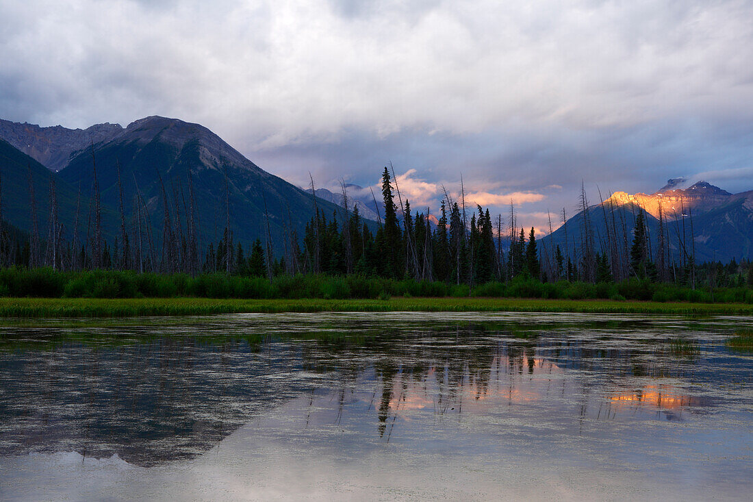 Frühes Morgenlicht, Vermillion Lakes, Banff-Nationalpark, UNESCO-Welterbe, Alberta, Rocky Mountains, Kanada, Nordamerika