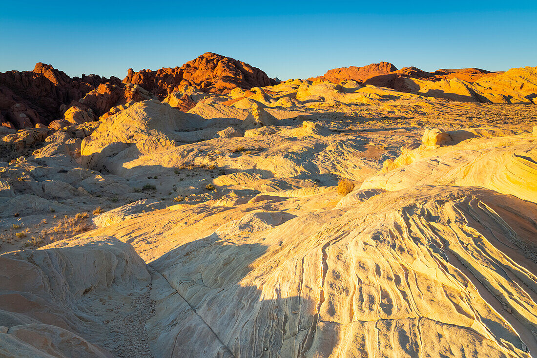 Red and white rock formations at Fire Canyon and Silica Dome at sunrise, Valley of Fire State Park, Nevada, Western United States, United States of America, North America