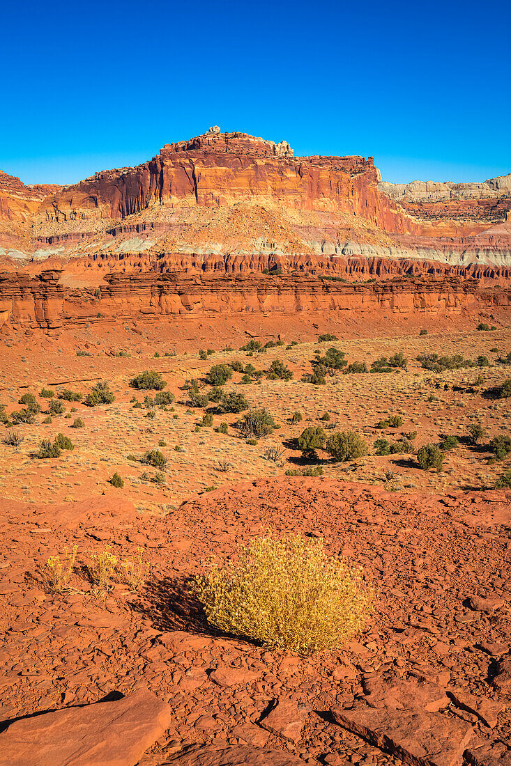 Whiskey Flat Felsformation an einem sonnigen Tag, Capitol Reef National Park, Utah, Westen der Vereinigten Staaten, Vereinigte Staaten von Amerika, Nordamerika