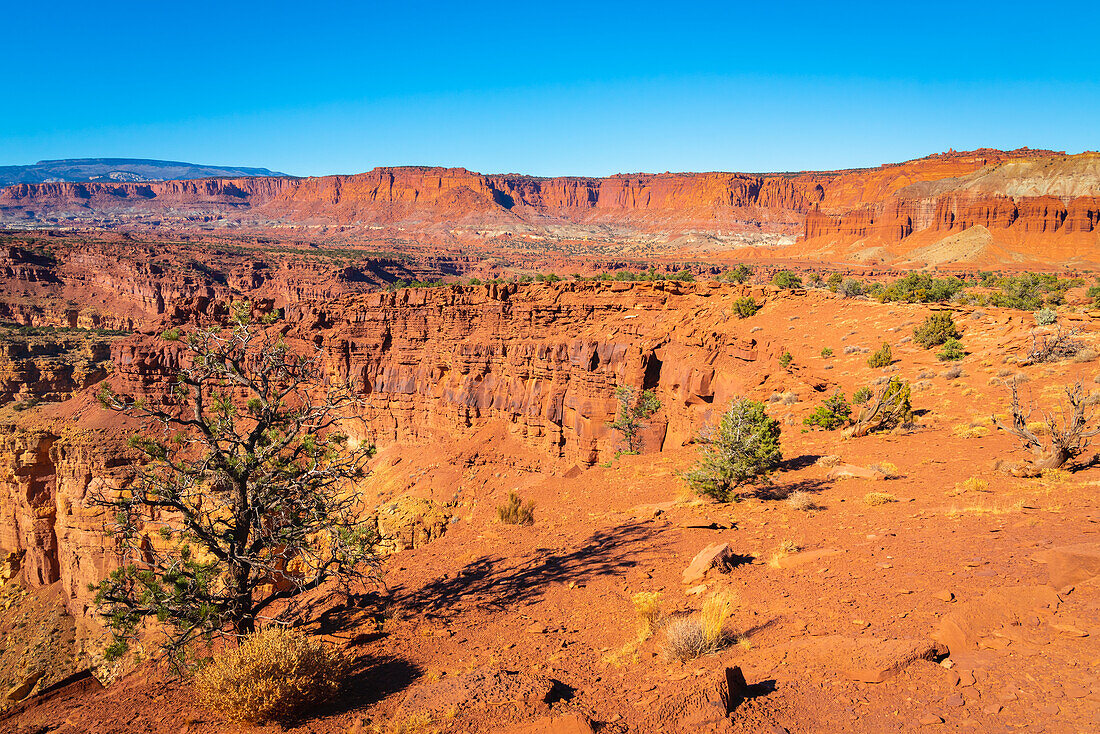 Red rock formations near Sunset Point, Capitol Reef National Park, Utah, United States of America, North America