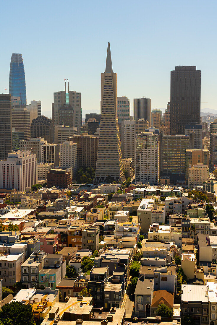 Die Skyline von San Francisco wird von der Transamerica Pyramid dominiert, vom Coit Tower aus gesehen, San Francisco, Kalifornien, Vereinigte Staaten von Amerika, Nordamerika