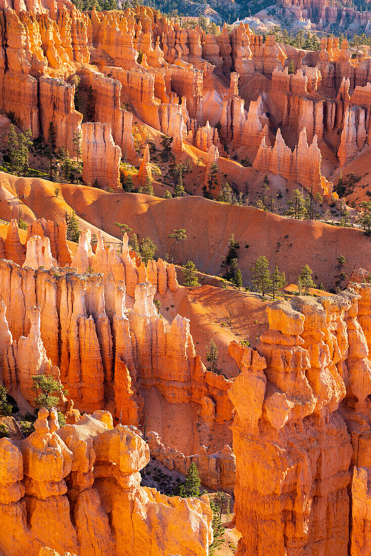 Detail von Hoodoos und Bäumen, Sunset Point, Bryce Canyon National Park, Utah, Vereinigte Staaten von Amerika, Nordamerika