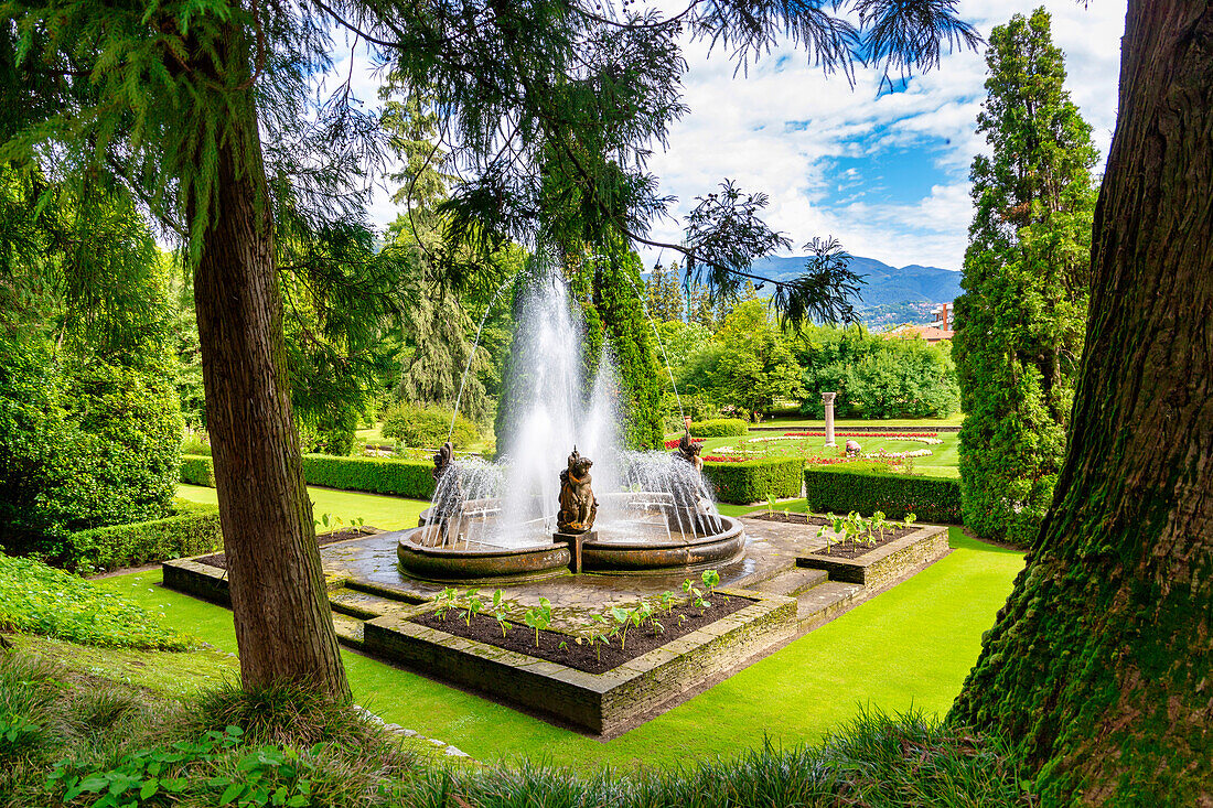 The botanical gardens of Villa Taranto, Pallanza, Lake Maggiore, Verbania District, Piedmont, Italian Lakes, Italy, Europe