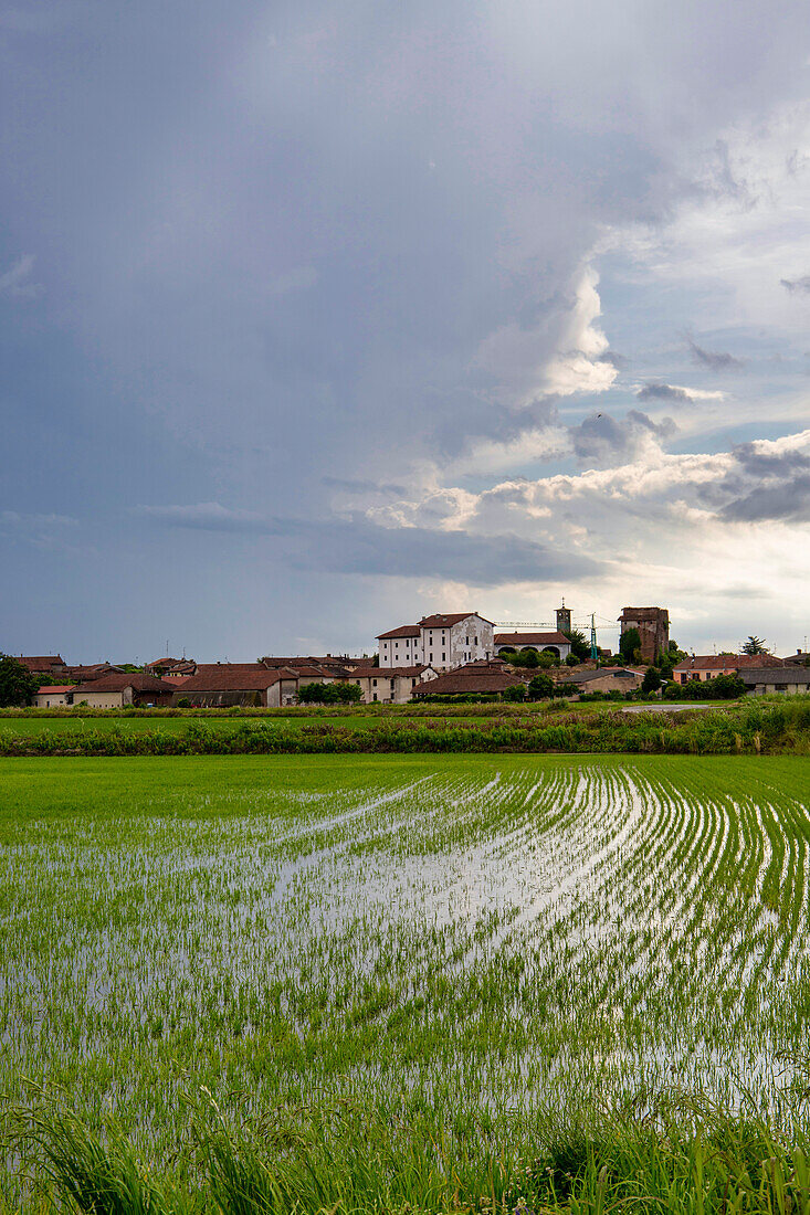 Fields and rice fields on a summer day, under a stormy sky, Novara, Po Valley, Piedmont, Italy, Europe