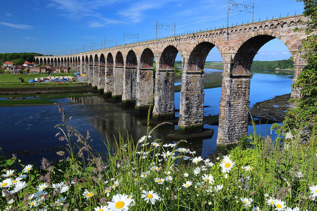 Königliche Grenzbrücke, Berwick-upon-Tweed, Northumberland, England, Vereinigtes Königreich, Europa