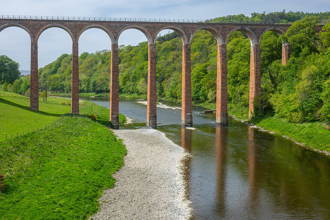 Leaderfoot-Viadukt über den Fluss Tweed, Melrose, Scottish Borders, Schottland, Vereinigtes Königreich, Europa