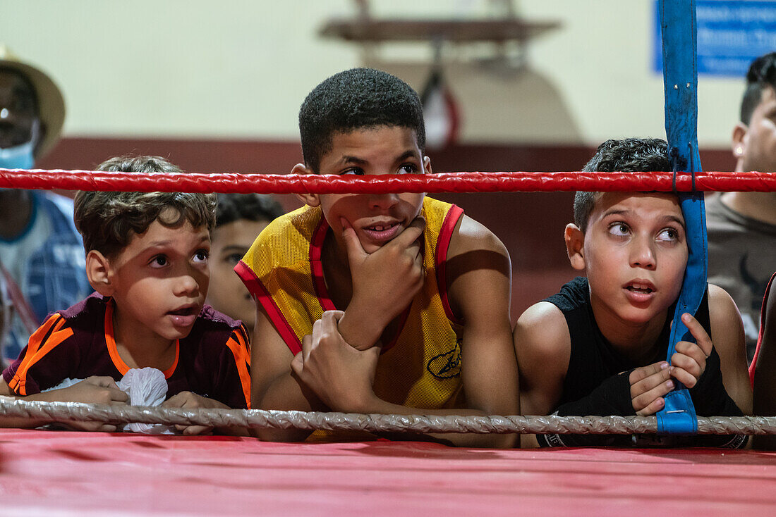 Junge Hoffnungsträger, Boxakademie Trejo, Havanna, Kuba, Westindien, Karibik, Mittelamerika