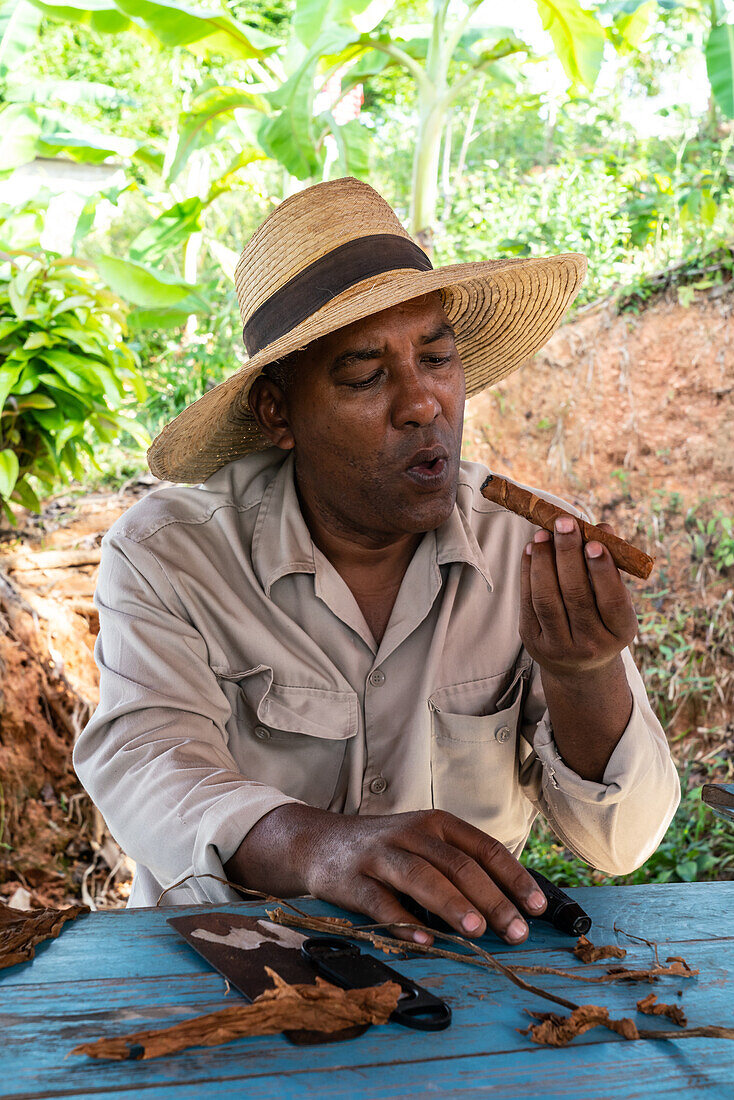 Tobacco plantation worker in straw hat, savouring cigar he just made, Vinales, Cuba, West Indies, Caribbean, Central America
