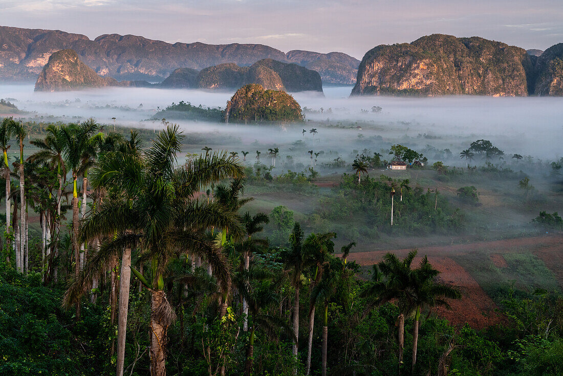 Val de Vinales, UNESCO World Heritage Site, early morning mist, Vinales, Cuba, West Indies, Caribbean, Central America