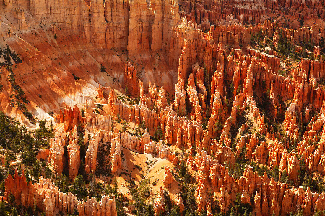 Bryce Canyon vom Inspiration Point aus, Utah, Vereinigte Staaten von Amerika, Nordamerika