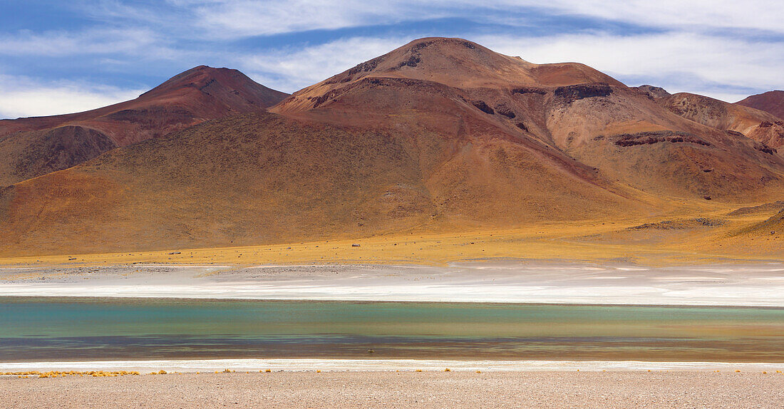 El Tatio Geyser Field, Atacama Desert Plateau, Chile, South America