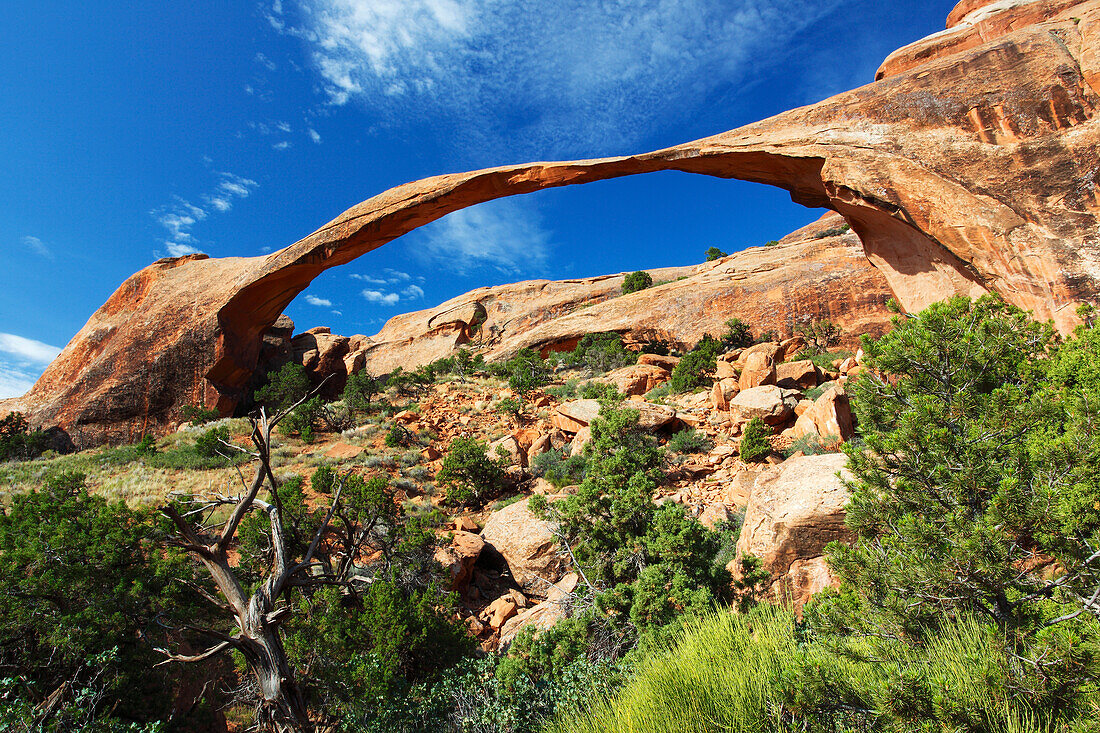 Landscape Arch, Arches National Park, Utah, Vereinigte Staaten von Amerika, Nordamerika