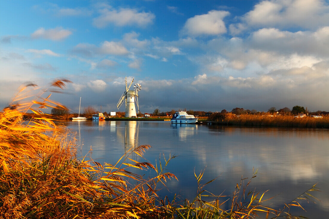 Thurne Mill, Norfolk Broads, Norfolk, England, United Kingdom, Europe