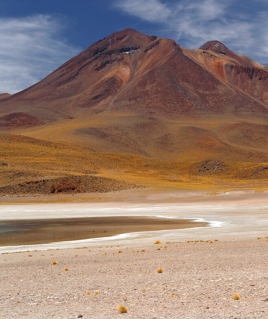 Hochebene der Atacamawüste, Chile, Südamerika