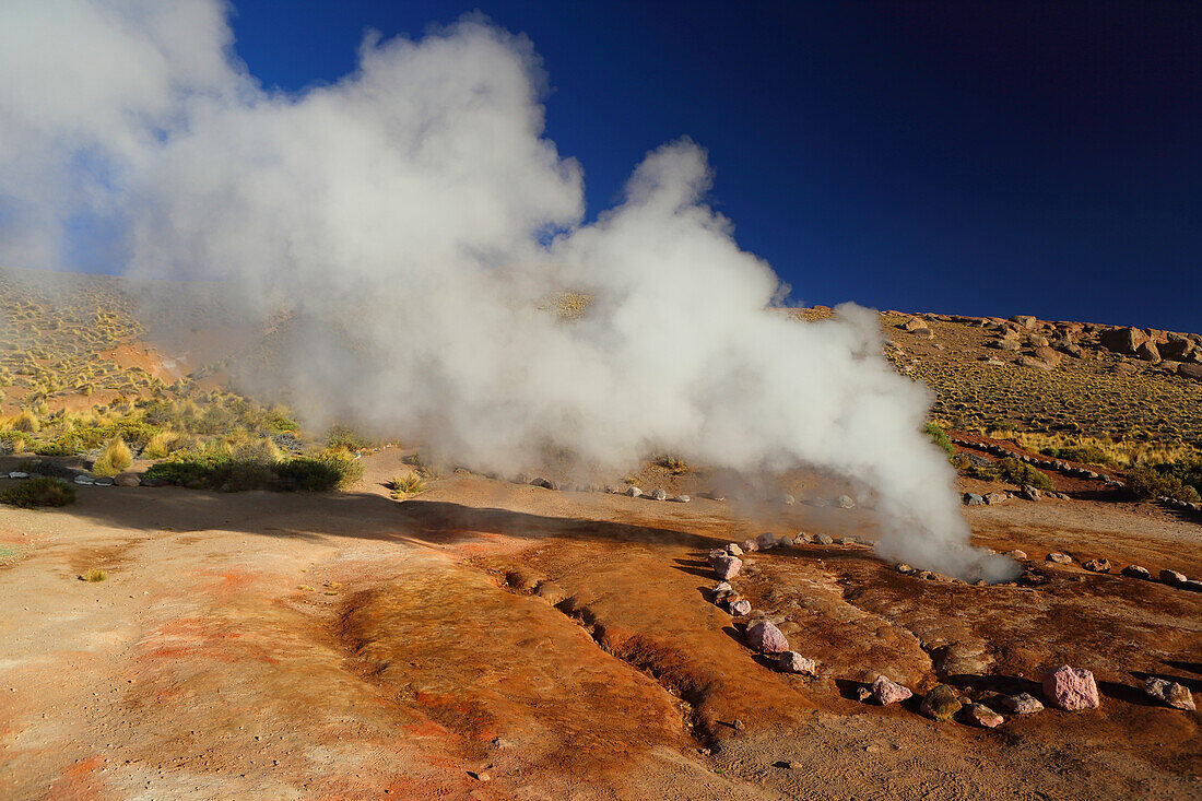 El Tatio Geysirfeld, Hochebene der Atacamawüste, Chile, Südamerika