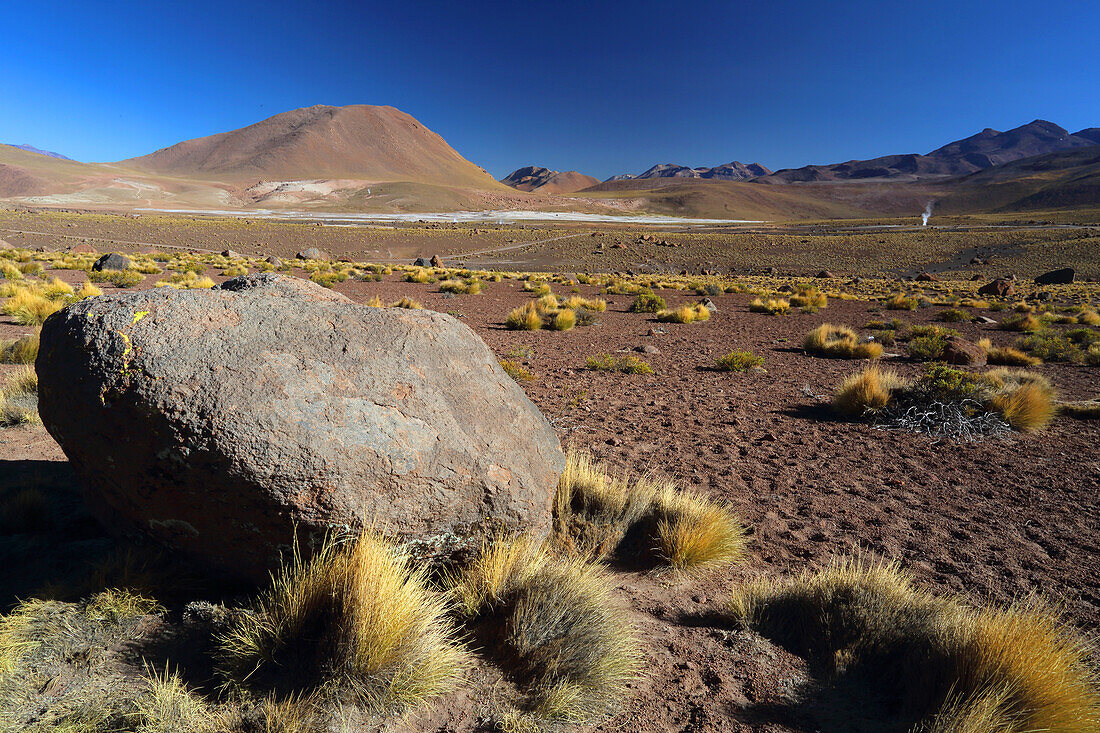 El Tatio Geysirfeld, Atacama-Wüstenplateau, Chile, Südamerika