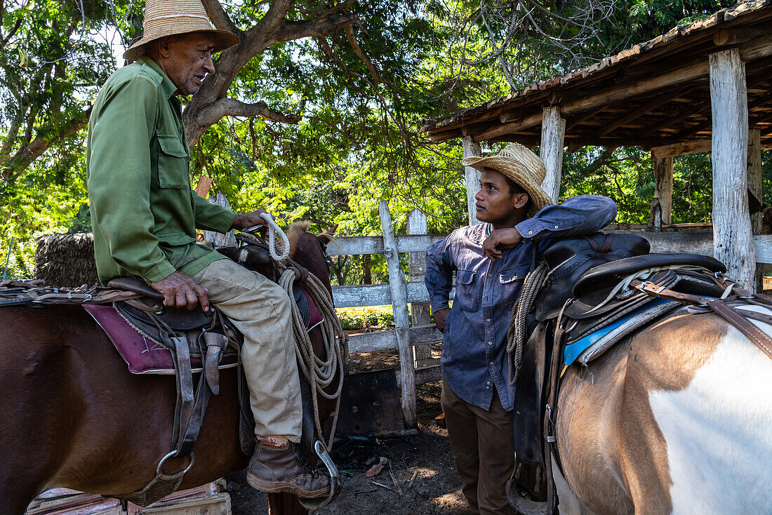 Cowboys im Gespräch mit ihren Pferden auf einer Farm bei Trinidad, Kuba, Westindien, Karibik, Mittelamerika