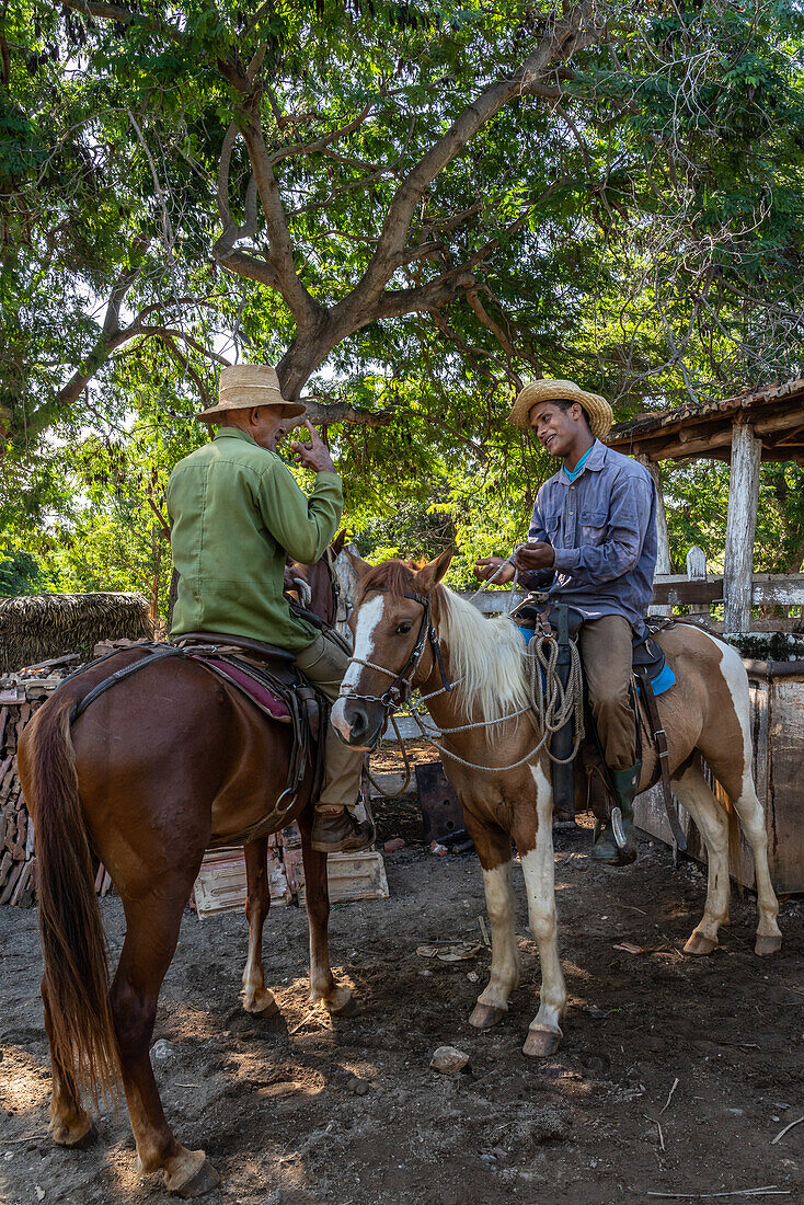 Cowboys im Gespräch mit ihren Pferden auf einer Farm bei Trinidad, Kuba, Westindien, Karibik, Mittelamerika