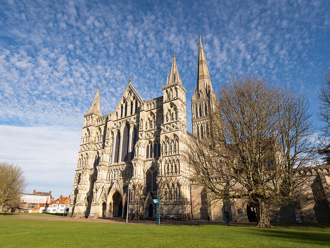 Salisbury Cathedral, Salisbury, Wiltshire, England, Vereinigtes Königreich, Europa