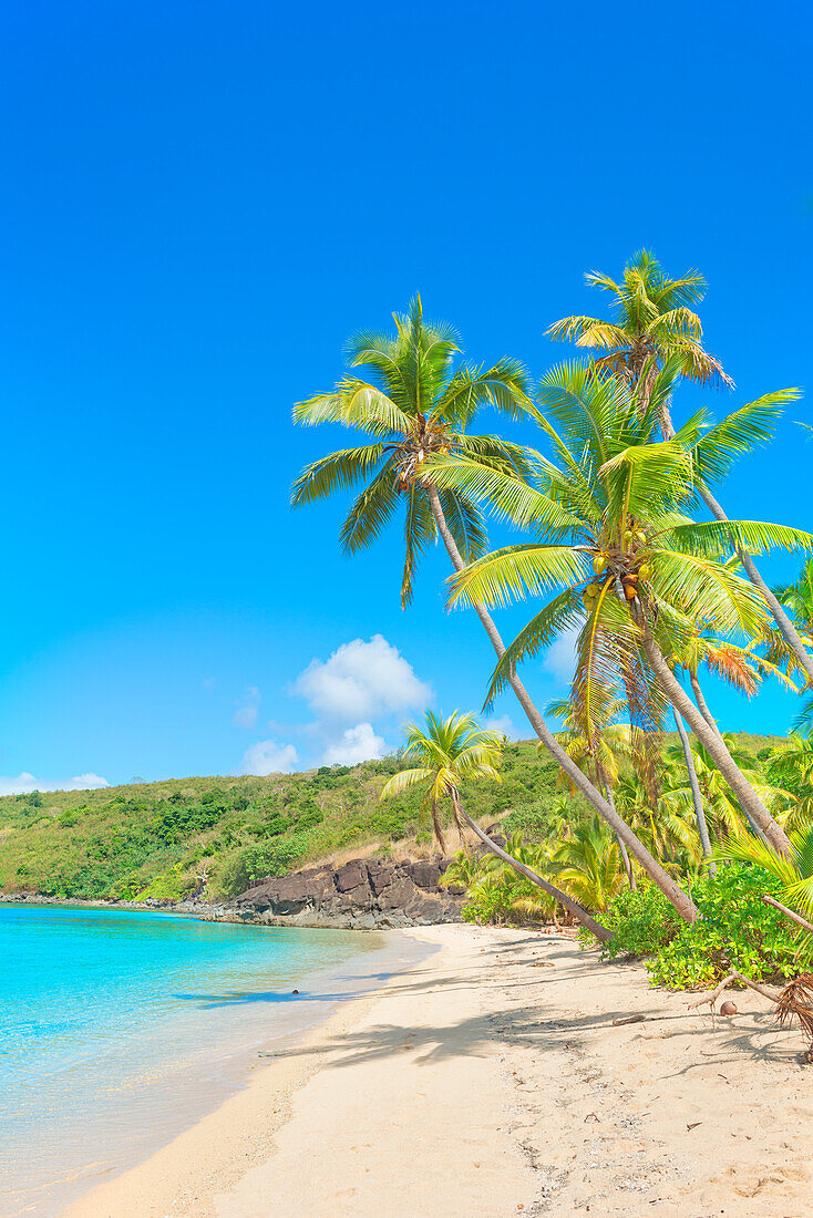 Tropical sandy beach, Drawaqa Island, Yasawa islands, Fiji, South Pacific Islands, Pacific