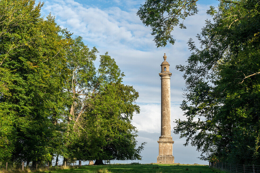 Burton Pynsent Monument in der Nähe des Dorfes Curry Rivel, Somerset, England, Vereinigtes Königreich, Europa