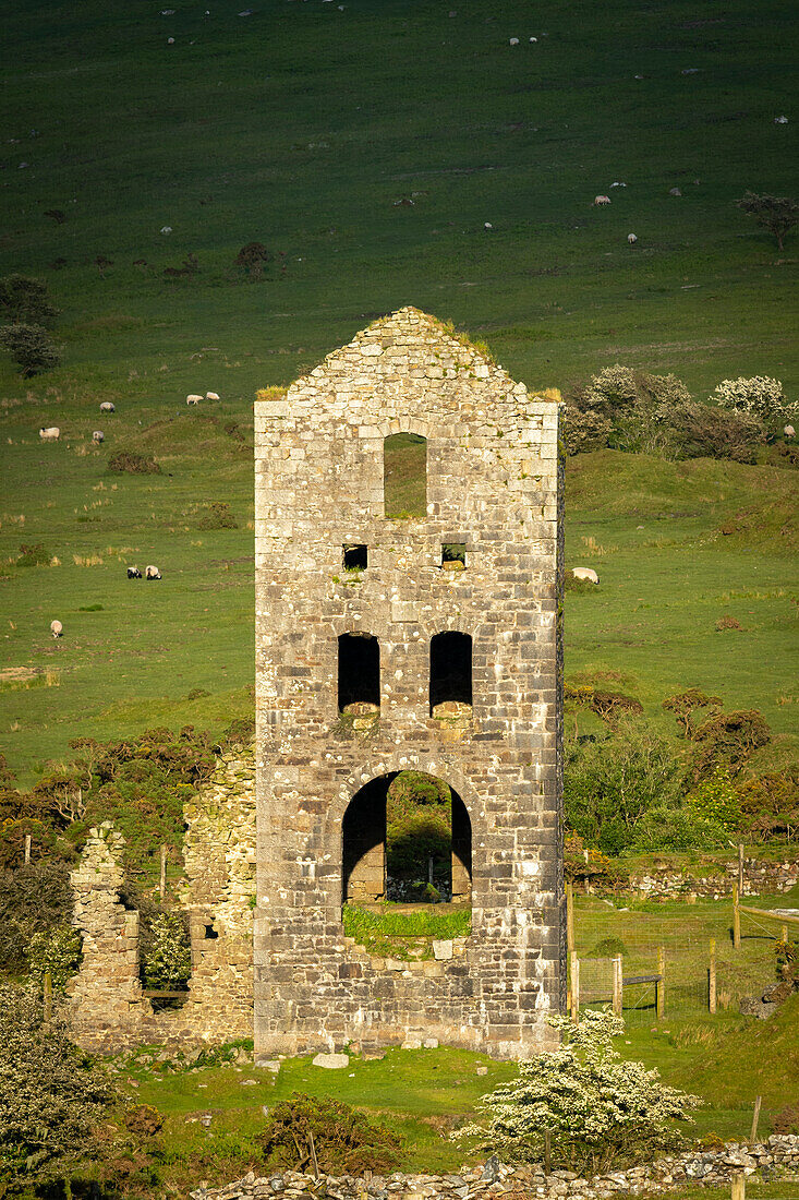 Verlassenes Maschinenhaus einer Zinnmine bei Minions im Bodmin Moor, Cornwall, England, Vereinigtes Königreich, Europa