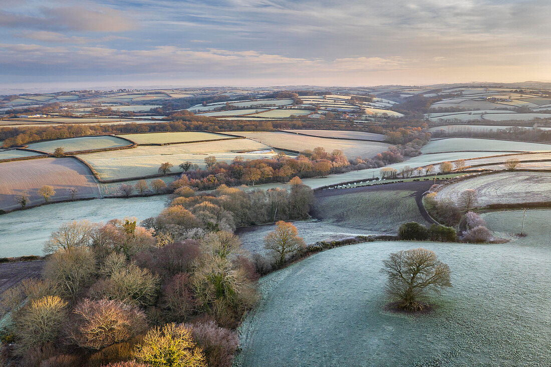 Rolling countryside at dawn on a frosty winter morning, Devon, England, United Kingdom, Europe