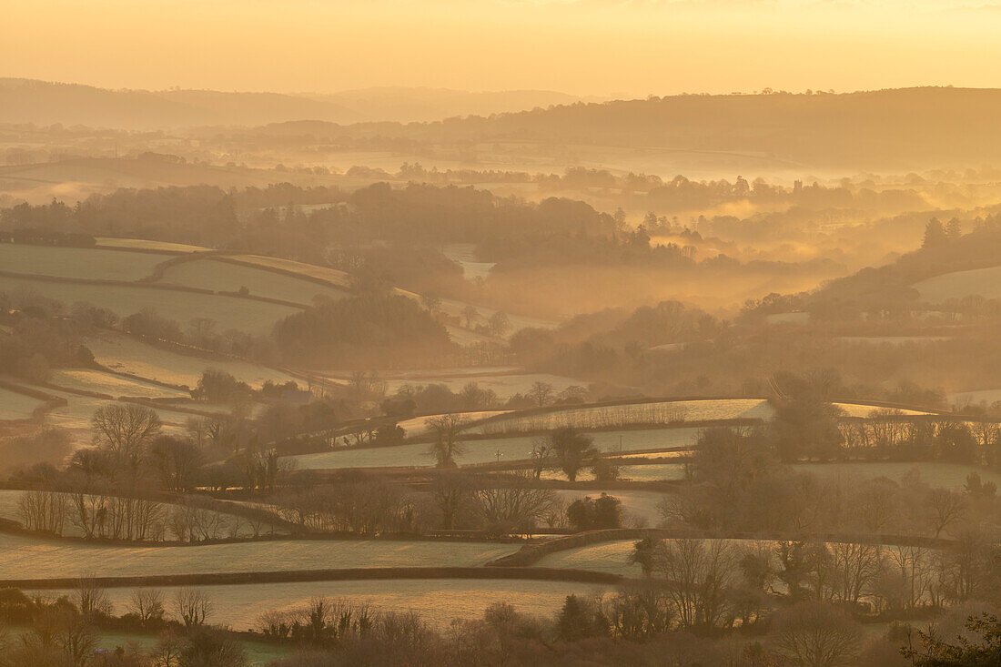 Winter dawn over Dartmoor countryside, Moretonhampstead, Devon, England, United Kingdom, Europe
