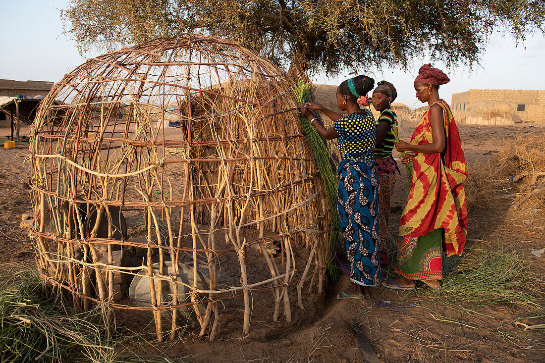 Peul-Frauen bauen eine Hütte in einem Peul-Dorf im nördlichen Senegal, Westafrika, Afrika