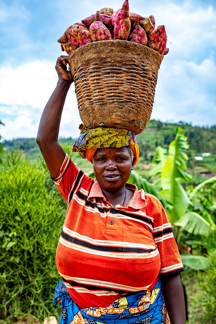 Frau, die einen Korb mit Süßkartoffeln auf dem Kopf trägt, im Westen Ruandas, Afrika