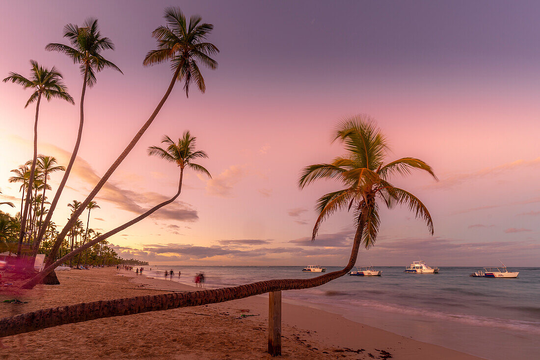 Blick auf Palmen und Meer am Bavaro Beach bei Sonnenuntergang, Punta Cana, Dominikanische Republik, Westindische Inseln, Karibik, Mittelamerika