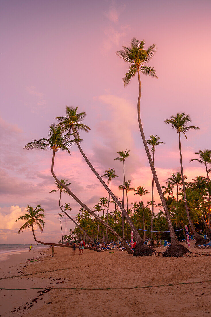Blick auf Palmen und Meer am Bavaro Beach bei Sonnenuntergang, Punta Cana, Dominikanische Republik, Westindische Inseln, Karibik, Mittelamerika