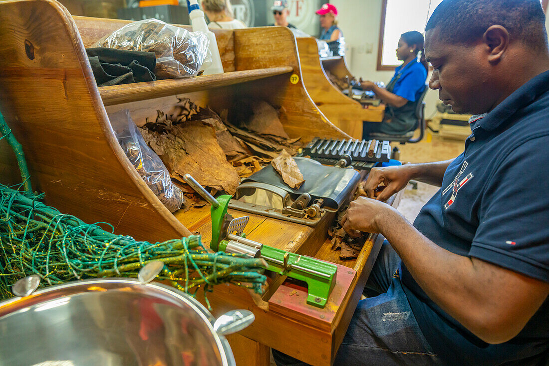 Zigarrenherstellung in einer Fabrik bei Santo Domingo, Dominikanische Republik, Westindien, Karibik, Mittelamerika