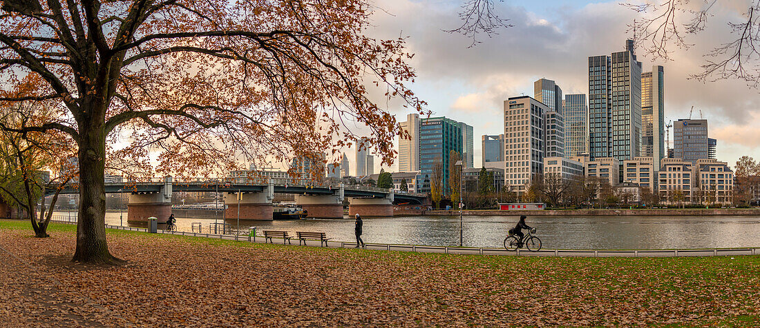 Blick auf Stadtsilhouette und Main bei Sonnenuntergang, Frankfurt am Main, Hessen, Deutschland, Europa