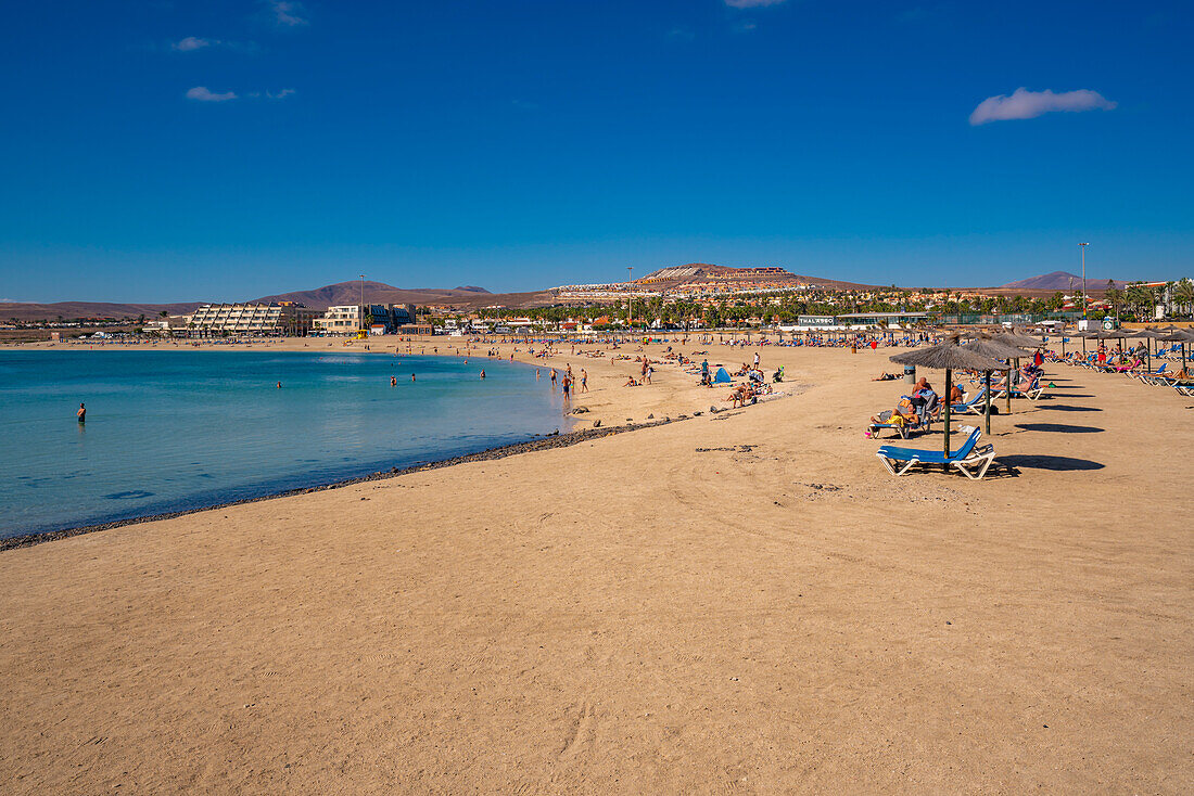 View of Playa del Castillo Beach in Castillo Caleta de Fuste, Fuerteventura, Canary Islands, Spain, Atlantic, Europe