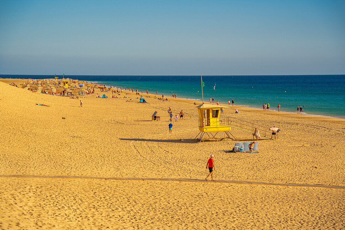 Blick auf den Strand Playa del Matorral, Morro Jable, Fuerteventura, Kanarische Inseln, Spanien, Atlantik, Europa