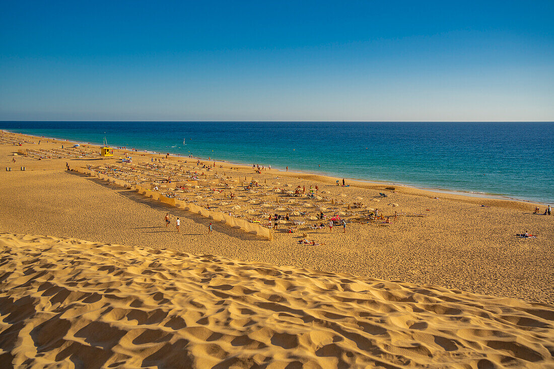 Blick auf den Strand Playa del Matorral, Morro Jable, Fuerteventura, Kanarische Inseln, Spanien, Atlantik, Europa