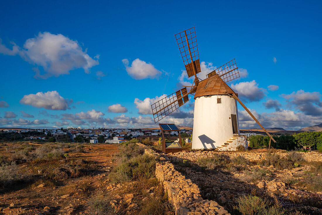 Blick auf eine traditionelle Windmühle in Antigua, Antigua, Fuerteventura, Kanarische Inseln, Spanien, Atlantik, Europa