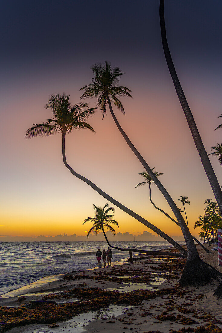 Blick auf Meer, Strand und Palmen bei Sonnenaufgang, Bavaro Beach, Punta Cana, Dominikanische Republik, Westindische Inseln, Karibik, Mittelamerika