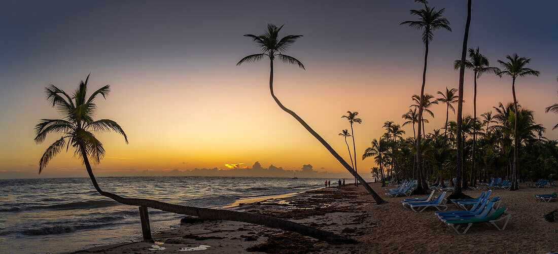 Blick auf Meer, Strand und Palmen bei Sonnenaufgang, Bavaro Beach, Punta Cana, Dominikanische Republik, Westindische Inseln, Karibik, Mittelamerika