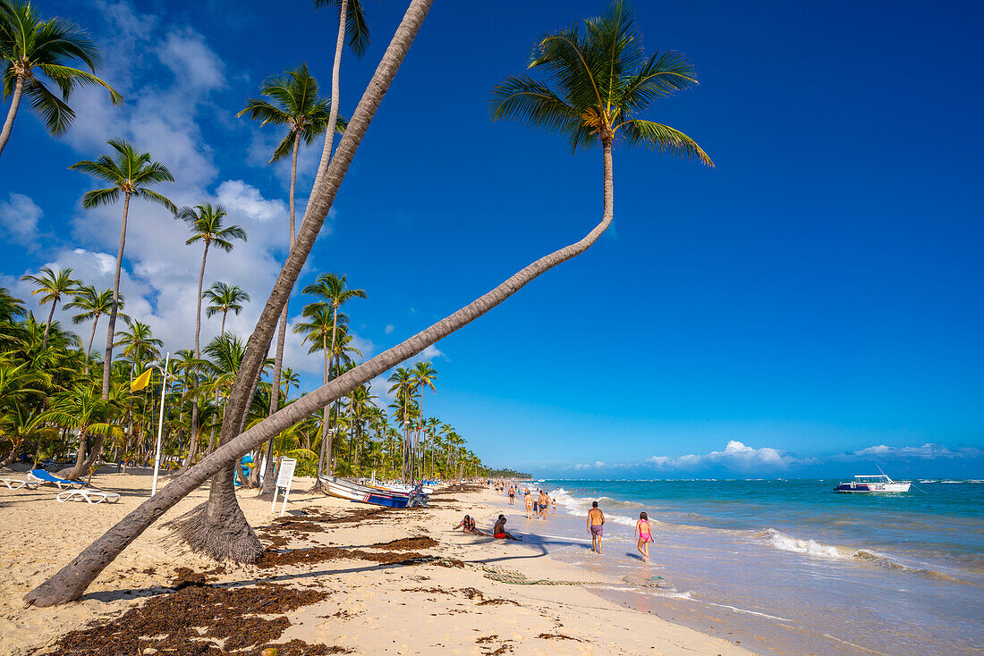 Blick auf Meer, Strand und Palmen an einem sonnigen Tag, Bavaro Beach, Punta Cana, Dominikanische Republik, Westindische Inseln, Karibik, Mittelamerika