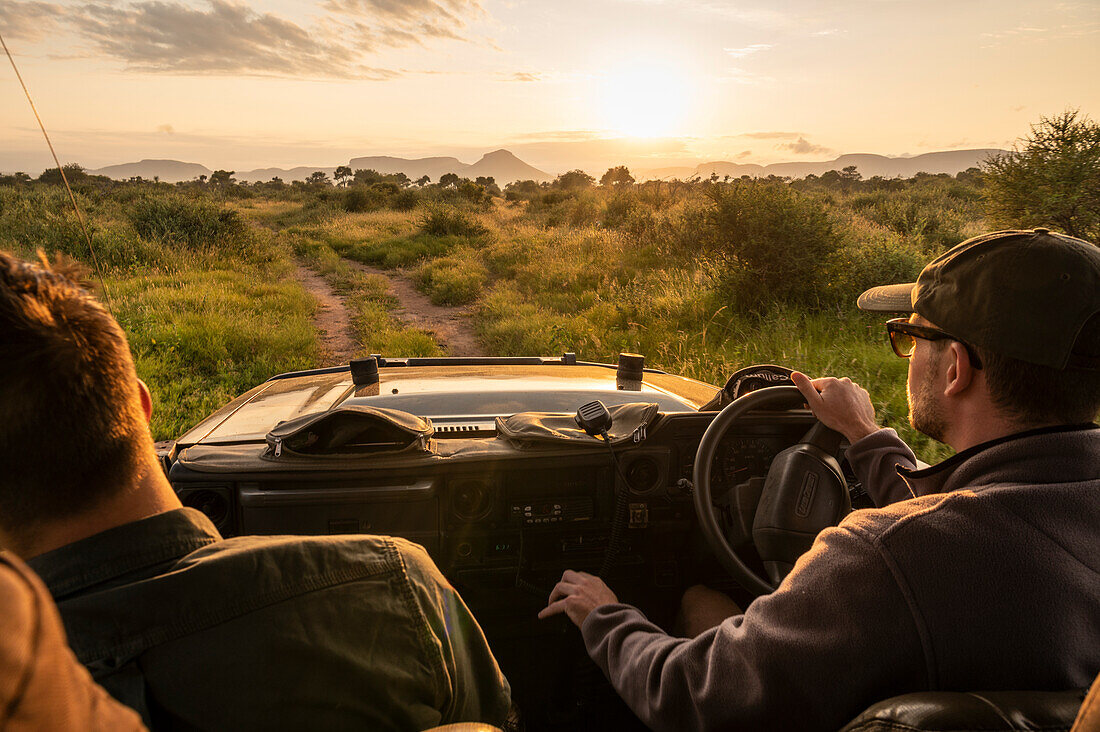 Dawn Safari, Marataba, Marakele National Park, South Africa, Africa