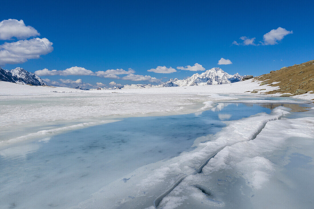 Der kleine See von Campagneda während der Frühjahrsschmelze und im Hintergrund der Berg Disgrazia, Valmalenco, Valtellina, Provinz Sondrio, Lombardei, Italien, Europa