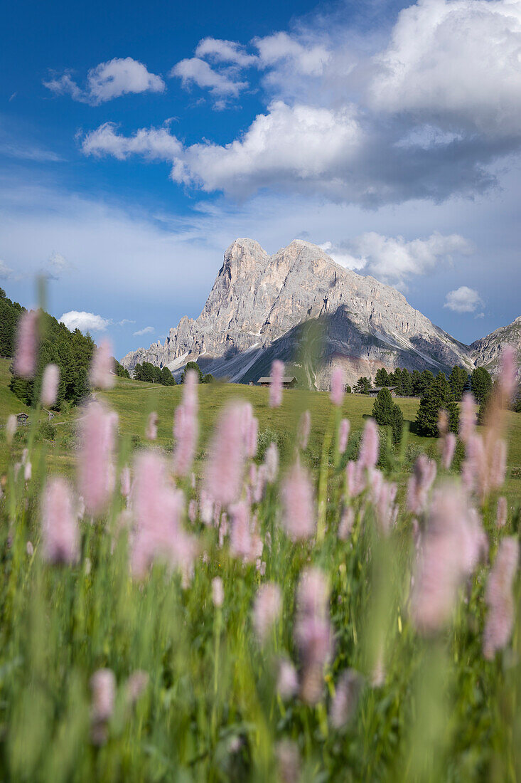 Sass De Putia (Peitlerkofel), Passo Delle Erbe (Wurzjoch), Dolomites, Bolzano, South Tyrol, Italy