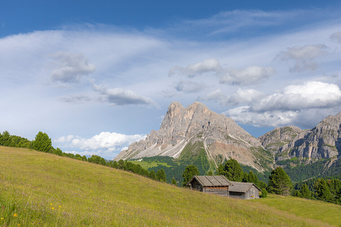 Sass De Putia (Peitlerkofel), Passo Delle Erbe (Wurzjoch), Dolomiten, Bozen, Südtirol, Italien