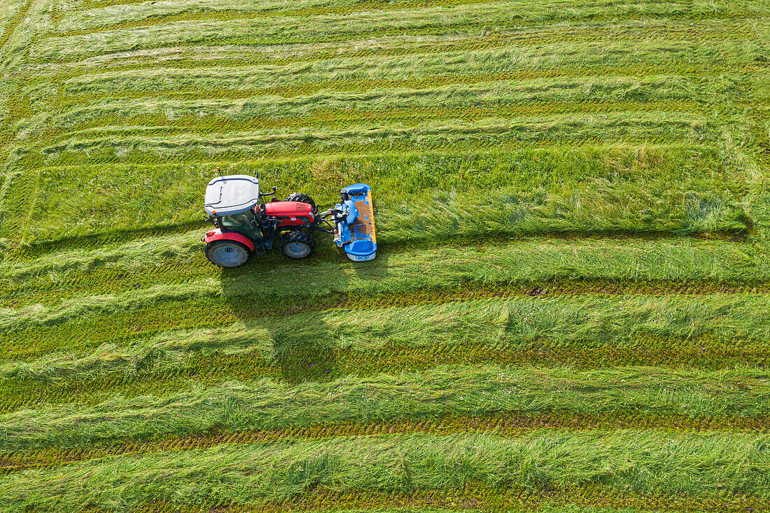 Luftaufnahme eines Traktors beim Mähen von Gras für Heu, Valtellina, Provinz Sondrio, Lombardei, Italien, Europa